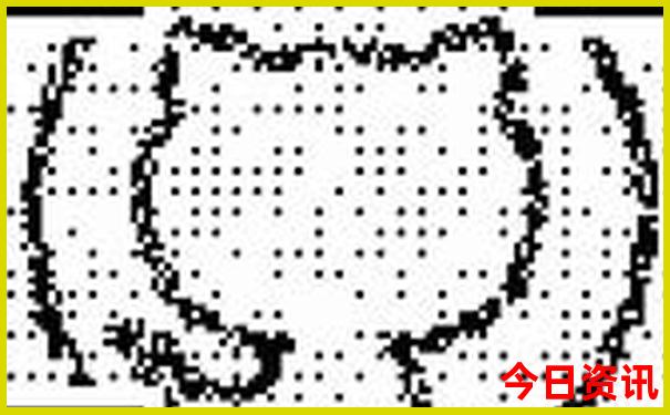 夏季在西湖游玩能欣赏到哪种风光